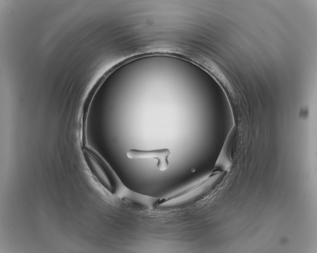 X0000096171132200802011312