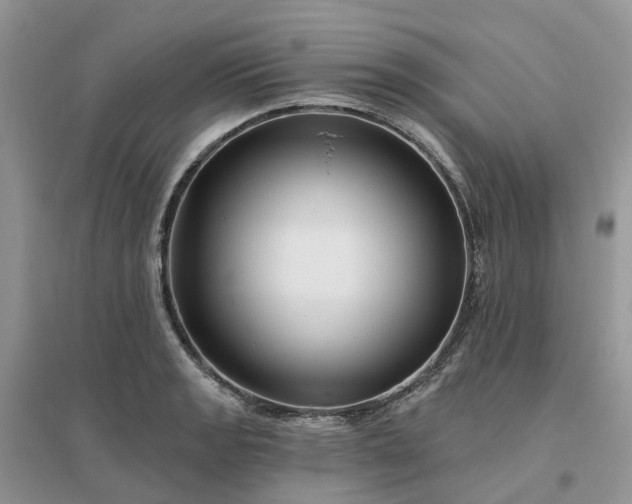 X0000096171133200802011312