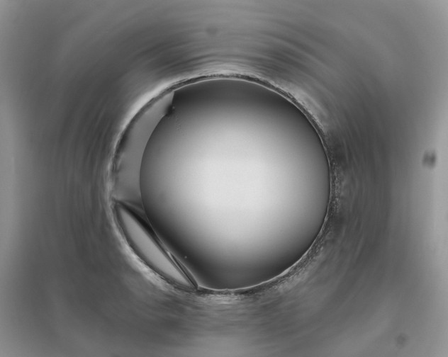 X0000096171134200802011312