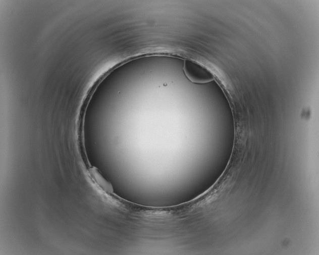 X0000096171135200802011312