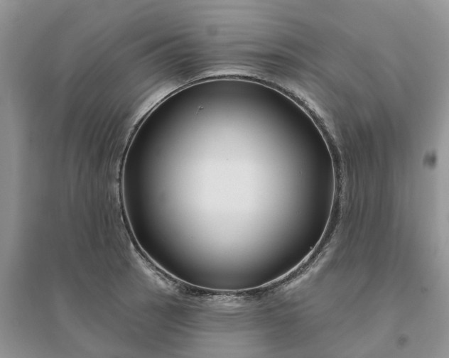 X0000096171137200802011312