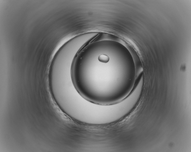 X0000096171138200802011312