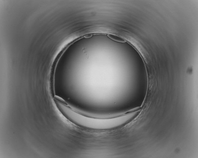 X0000096171139200802011312