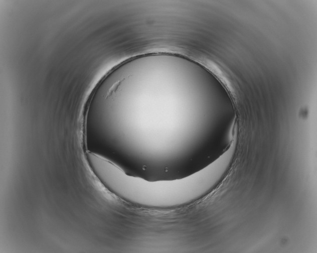 X0000096171140200802011312