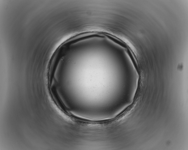 X0000096171142200802011313