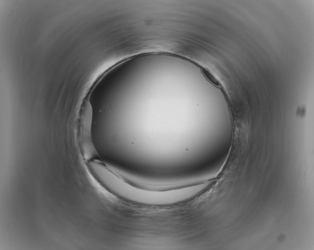 X0000096171143200802011313