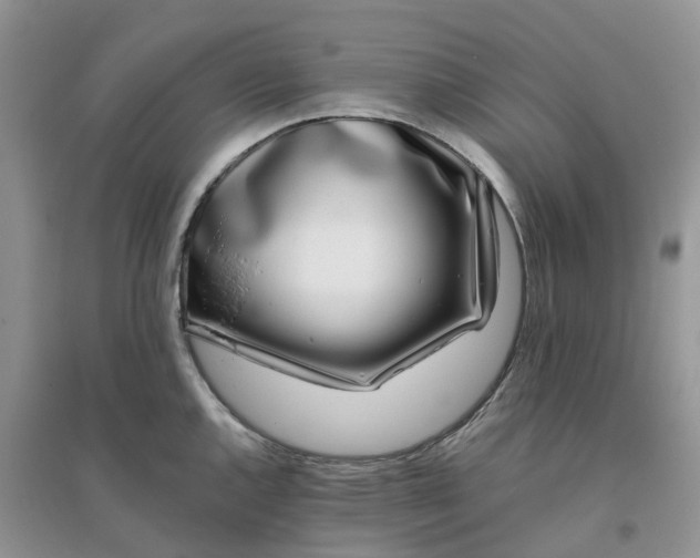 X0000096171144200802011313