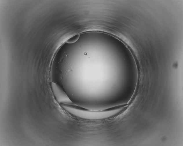 X0000096171145200802011313