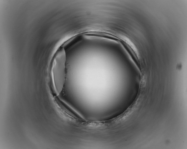 X0000096171146200802011313