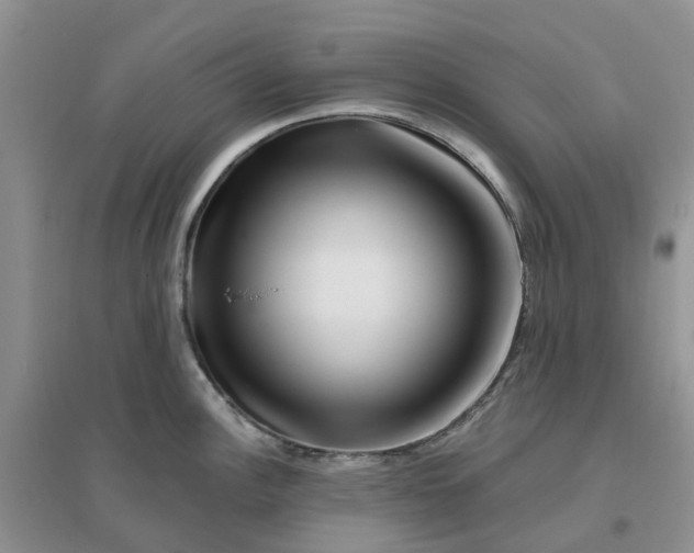 X0000096171148200802011313