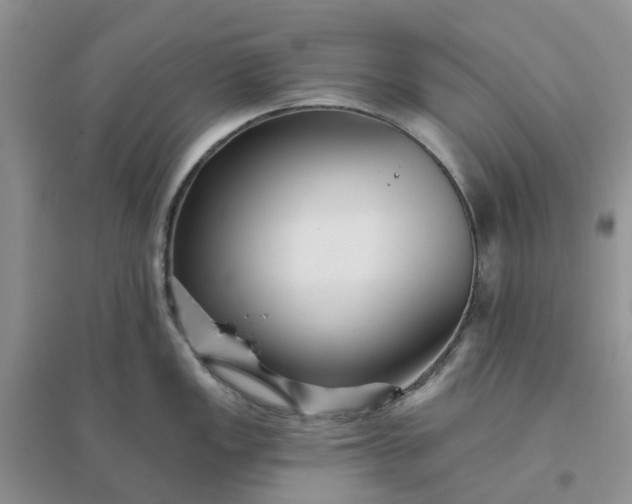 X0000096171149200802011313