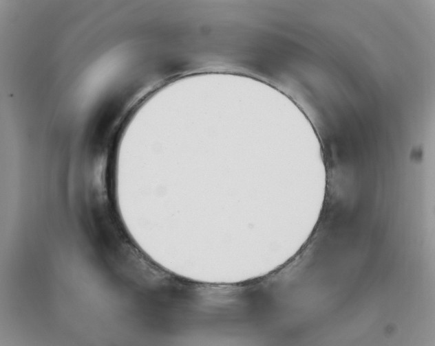 X0000096171150200802011313