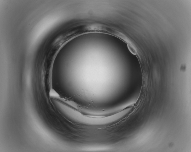 X0000096171151200802011313