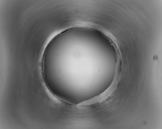 X0000096171152200802011313