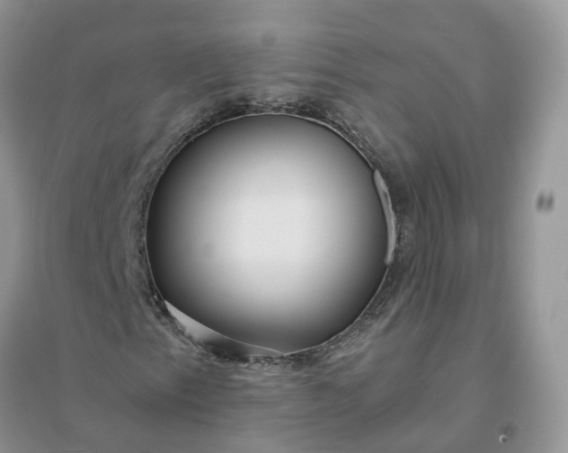 X0000096171153200802011312