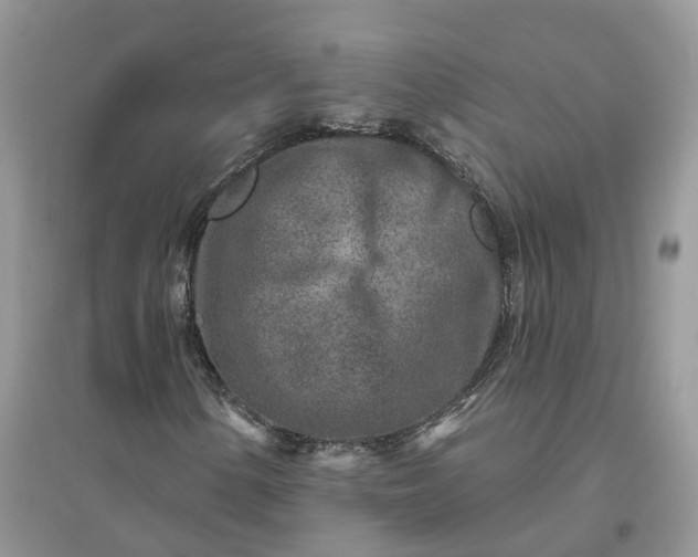 X0000096171154200802011312