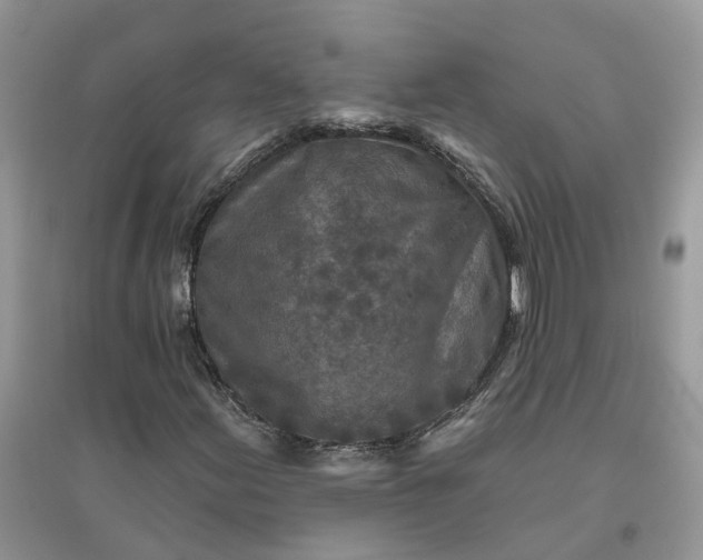 X0000096171155200802011312