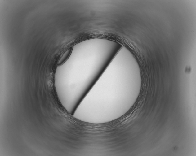 X0000096171156200802011312