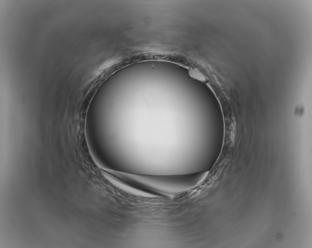 X0000096171157200802011312