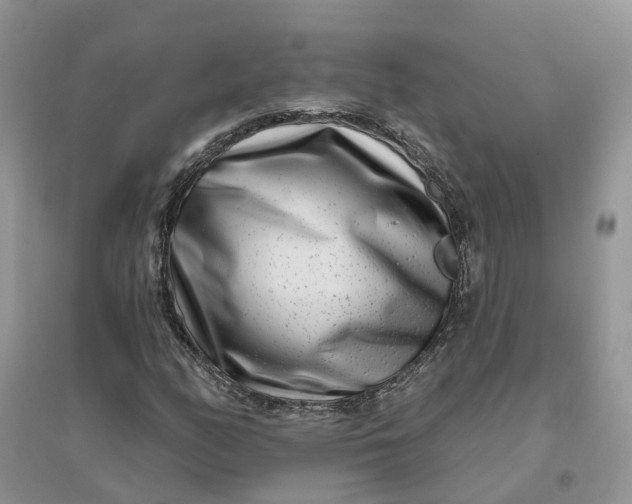 X0000096171158200802011312