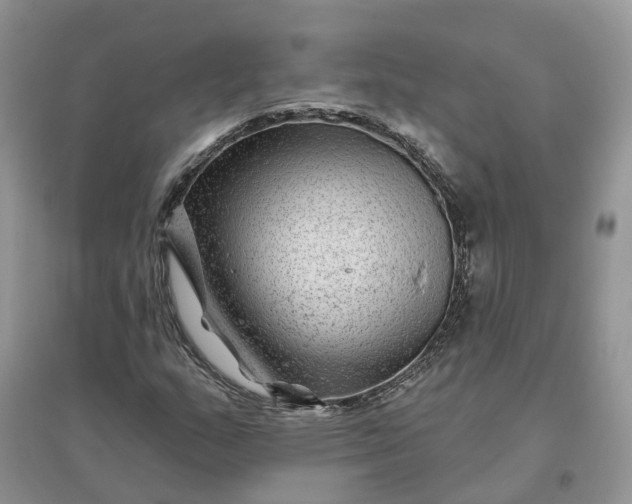 X0000096171159200802011312