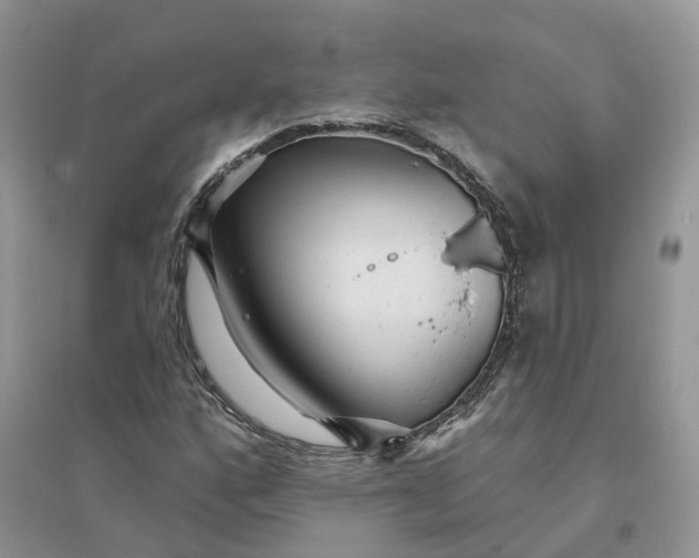 X0000096171160200802011312