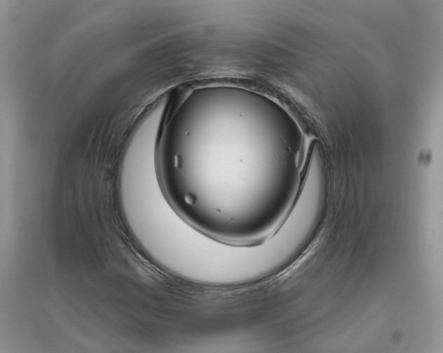 X0000096171161200802011312