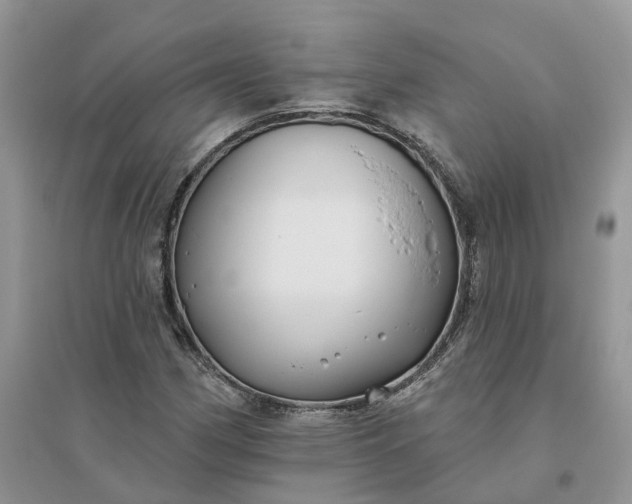 X0000096171162200802011312