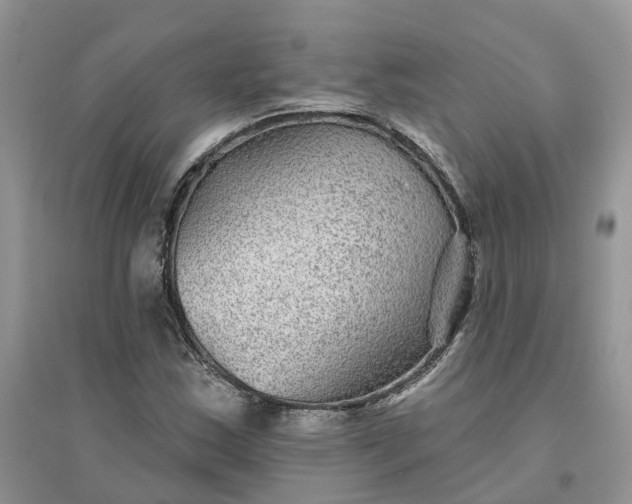 X0000096171163200802011312