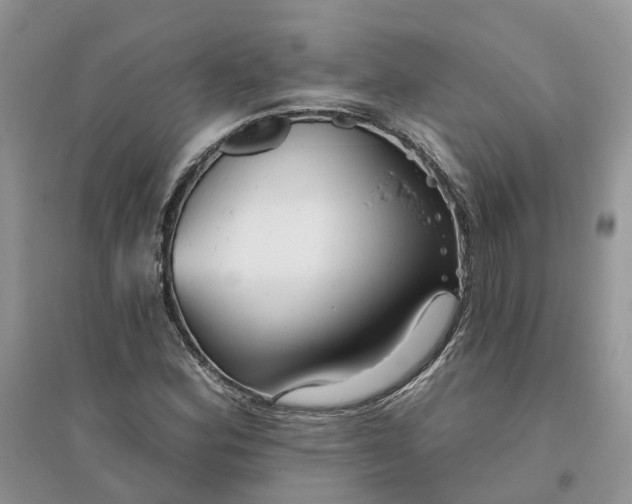 X0000096171164200802011311