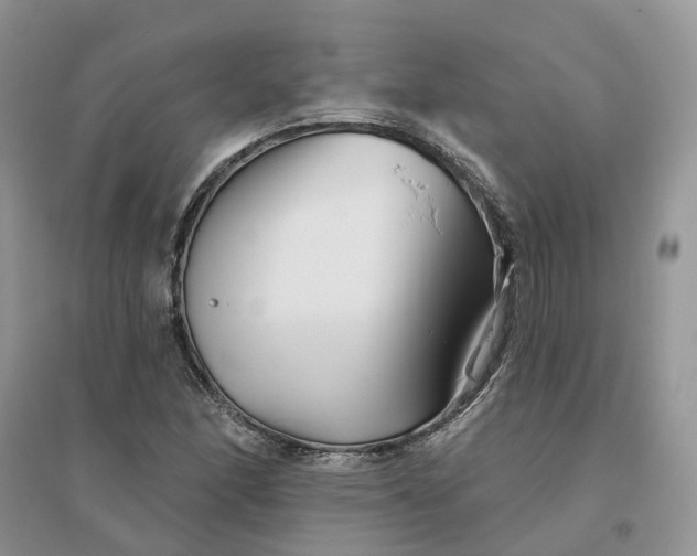 X0000096171166200802011311