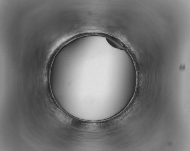 X0000096171167200802011311