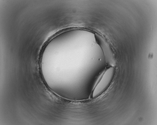 X0000096171168200802011311