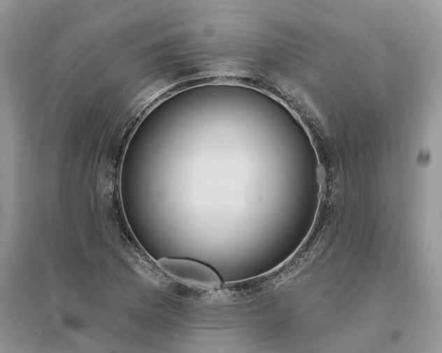 X0000096171169200802011311