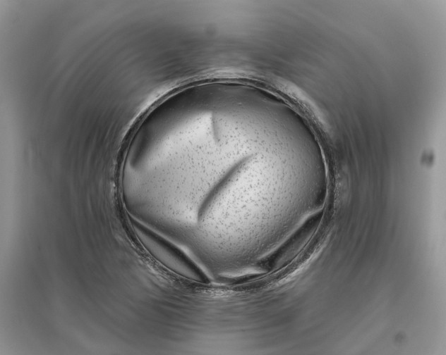 X0000096171170200802011311