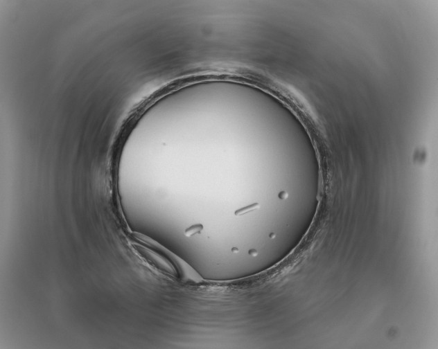 X0000096171172200802011311