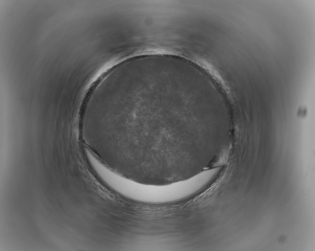 X0000096171173200802011311