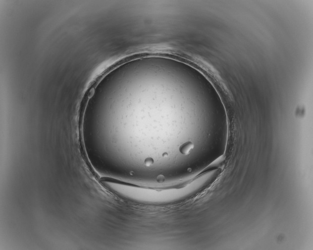 X0000096171176200802011311