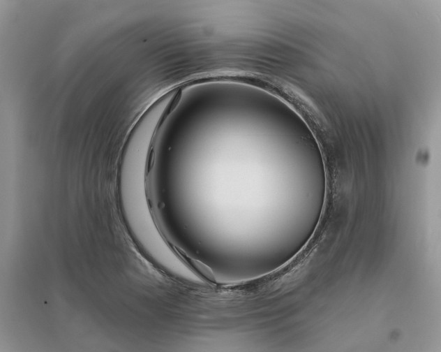 X0000096171177200802011311