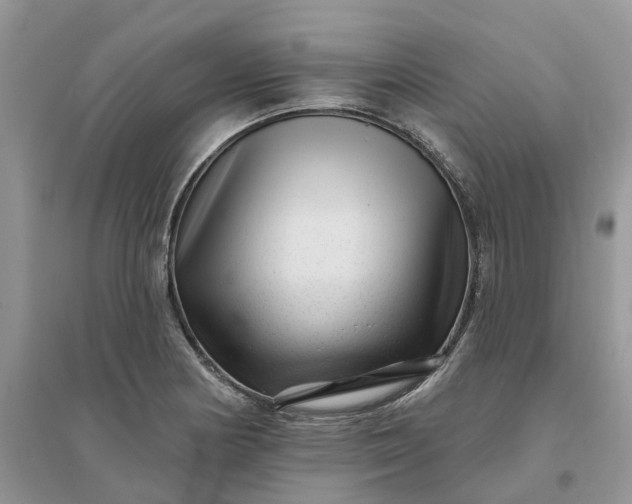 X0000096171178200802011311