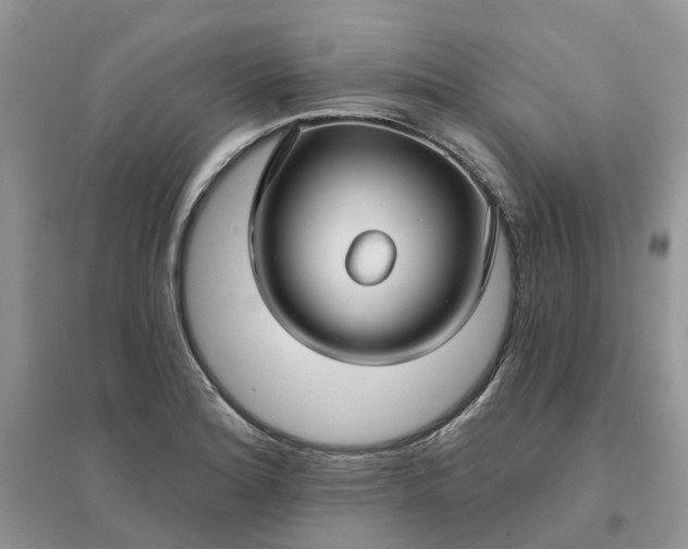 X0000096171180200802011311