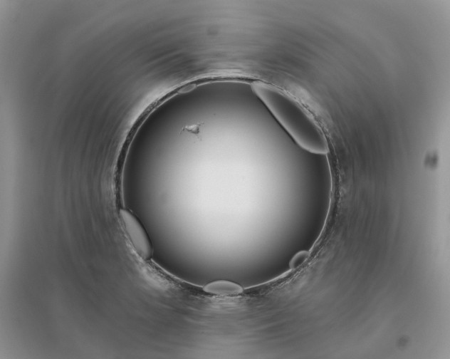 X0000096171181200802011311