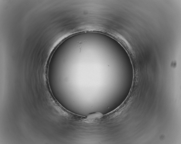 X0000096171182200802011311