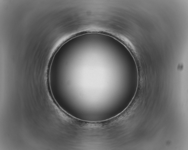 X0000096171183200802011311