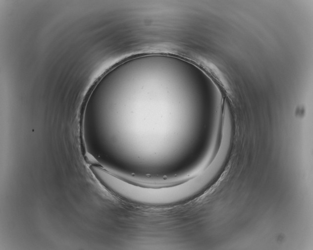 X0000096171184200802011311