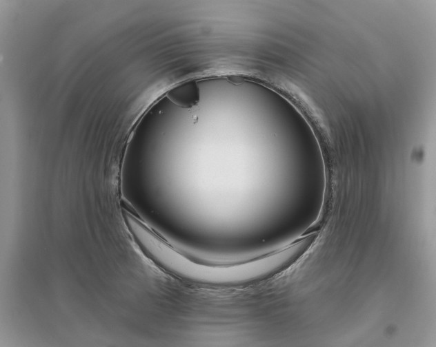 X0000096171185200802011311