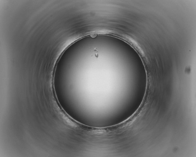 X0000096171186200802011311