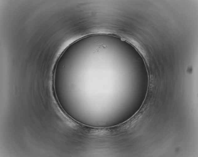 X0000096171187200802011311