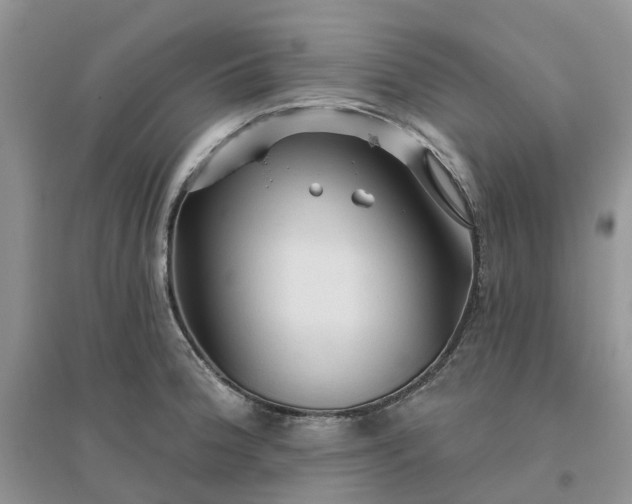 X0000096171188200802011311