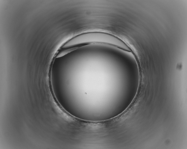 X0000096171189200802011311